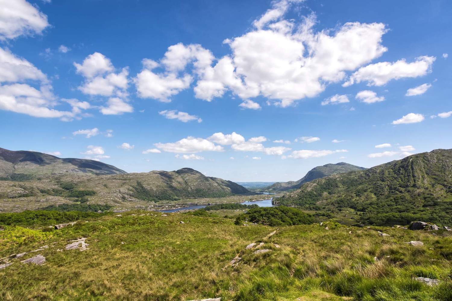 Ladies’ View, Co Kerry Ladies’ View, Co Kerry