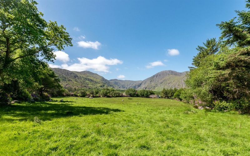 myhome.ie/Sherry FitzGerald Daly
