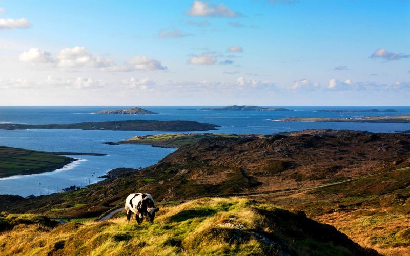 Ireland's Content Pool.