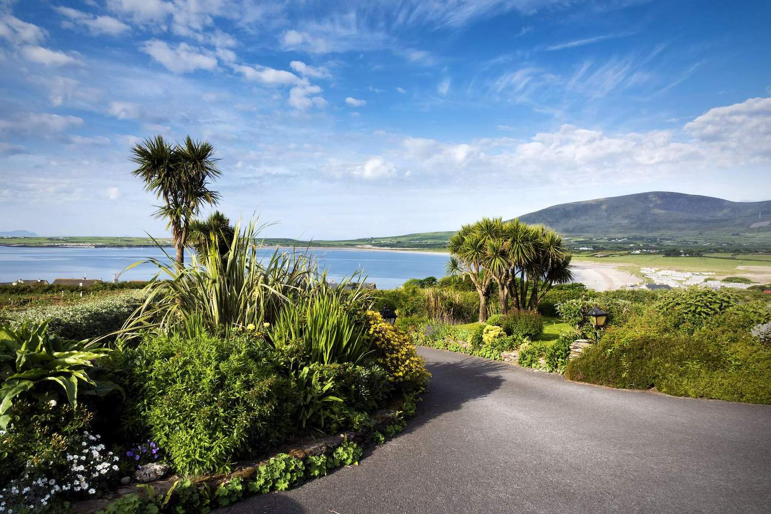 A view across Ventry Bay, County Kerry. A view across Ventry Bay, County Kerry.