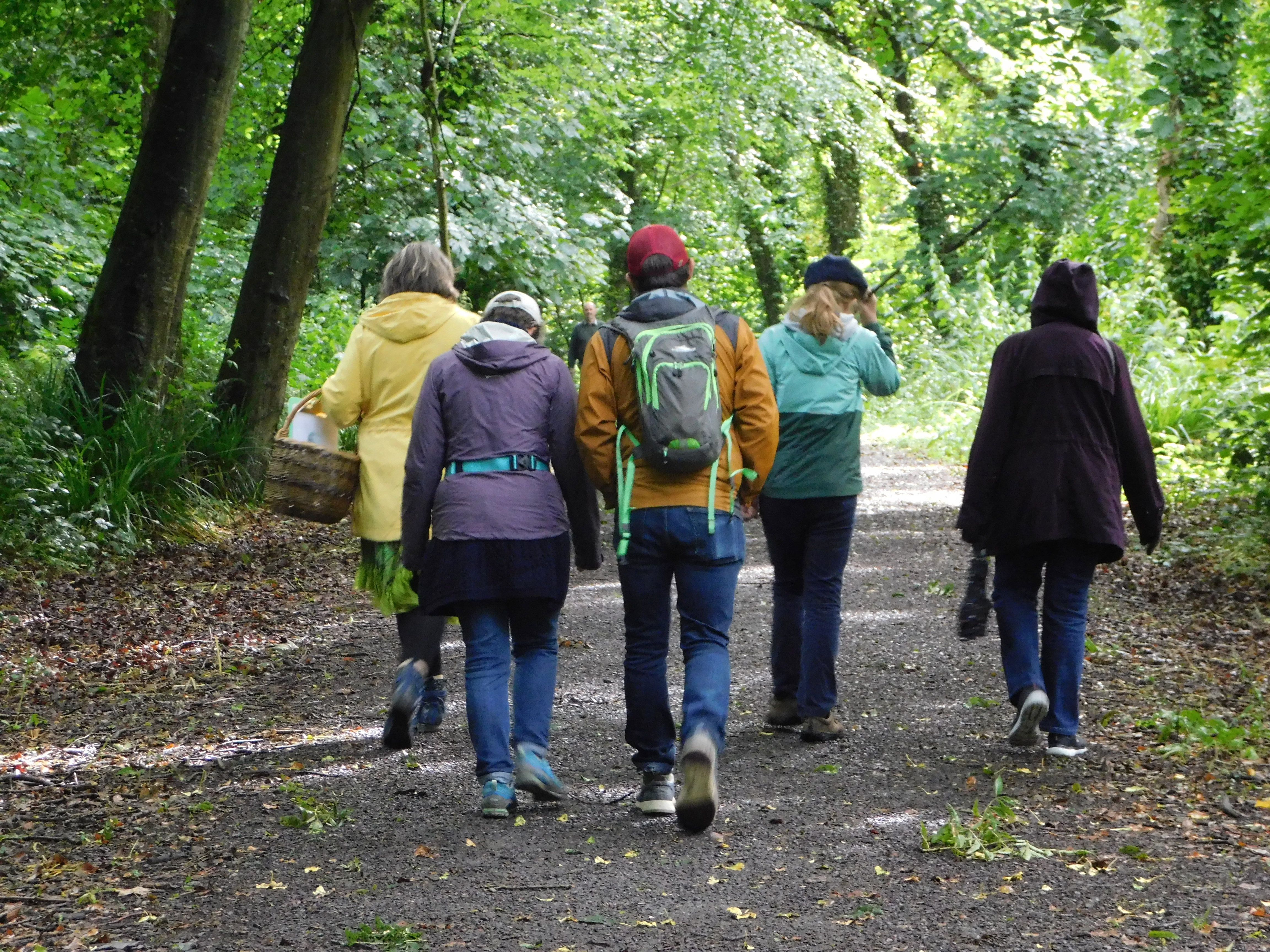 Lorraine (far left) leads the way on our Gallivanting Tour through the Courtown Woods near Gorey, Co. Wexford.  She gave us a wealth of information about foraging sprinkled with Irish folklore tales.