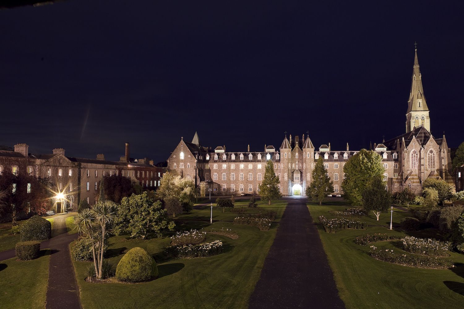 Cycling Life The Silken Thomas Yew, the oldest tree in Ireland