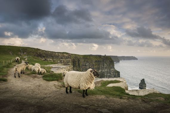 The Cliffs of Moher, County Clare. The Cliffs of Moher, County Clare.