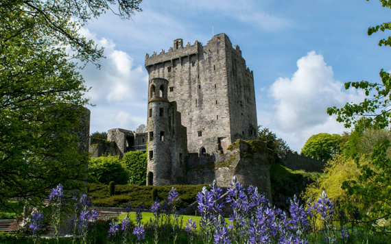 Blarney Castle, County Cork. Blarney Castle, County Cork.