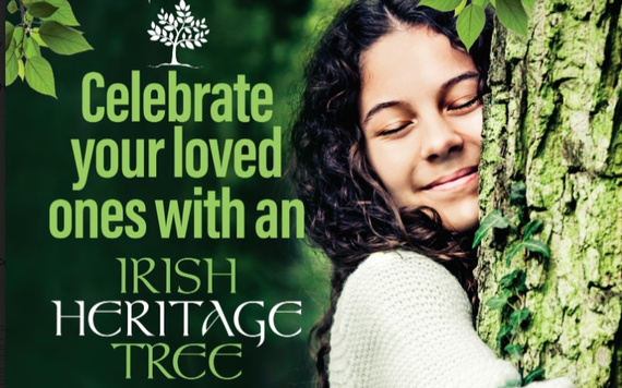 Celebrate your loved ones with an Irish Heritage Tree 
