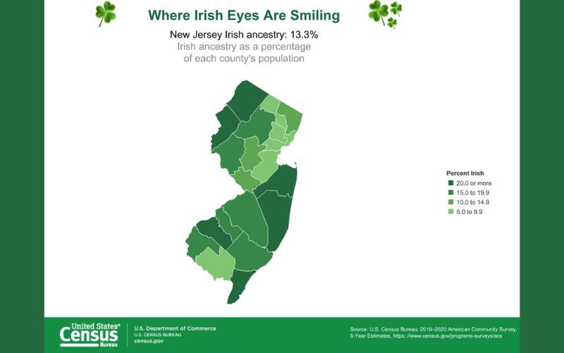13.3% of New Jersey claims Irish ancestry, according to the US Census Bureau's 2016 - 2020 American Community Survey.