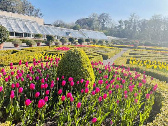Muckross House Gardens. Muckross House Gardens.