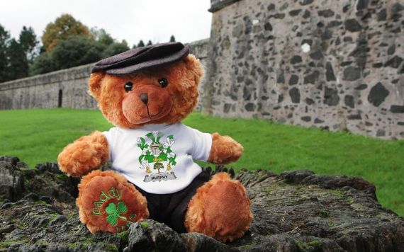 Bóru the Irish Family Crest Bear