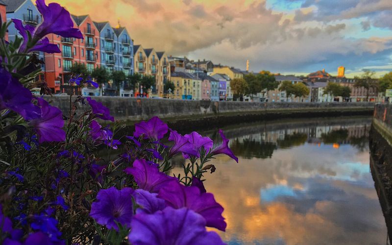 Beautiful Reflections along the River Lee by Kristin Tocci