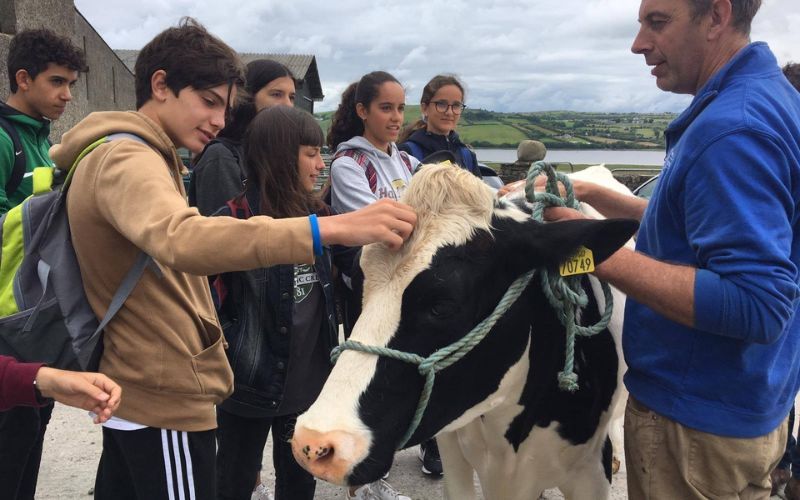 Teens will be immersed in Irish culture while meeting new friends from around the world