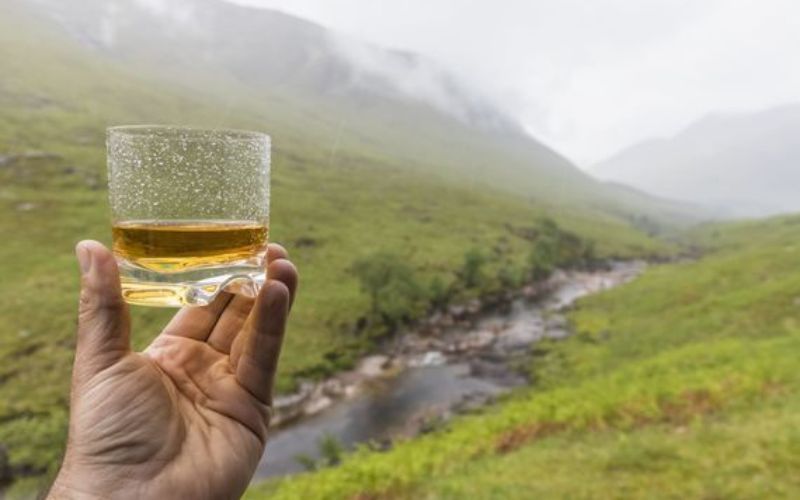 Whiskey is good for your skin! Whiskey is good for your skin!