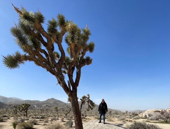 The author at the cold but beautiful Joshua Tree National Park in California The author at the cold but beautiful Joshua Tree National Park in California