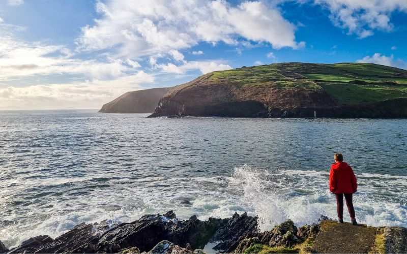 My Irish Cousin are planting native Irish trees on the Dingle Peninsula 