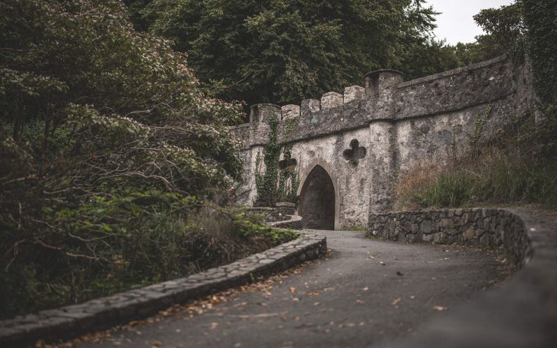 Tollymore Forest. Ireland's Content Pool