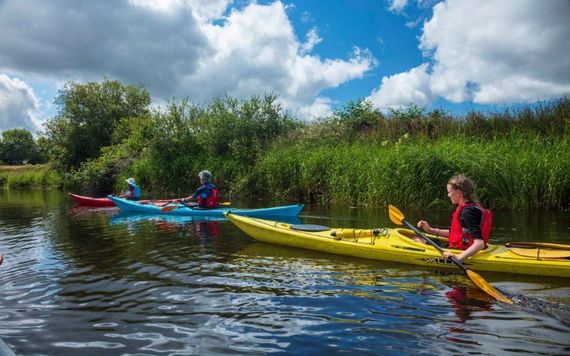 Shannon Blueway, Drumshanbo, Co. Leitrim