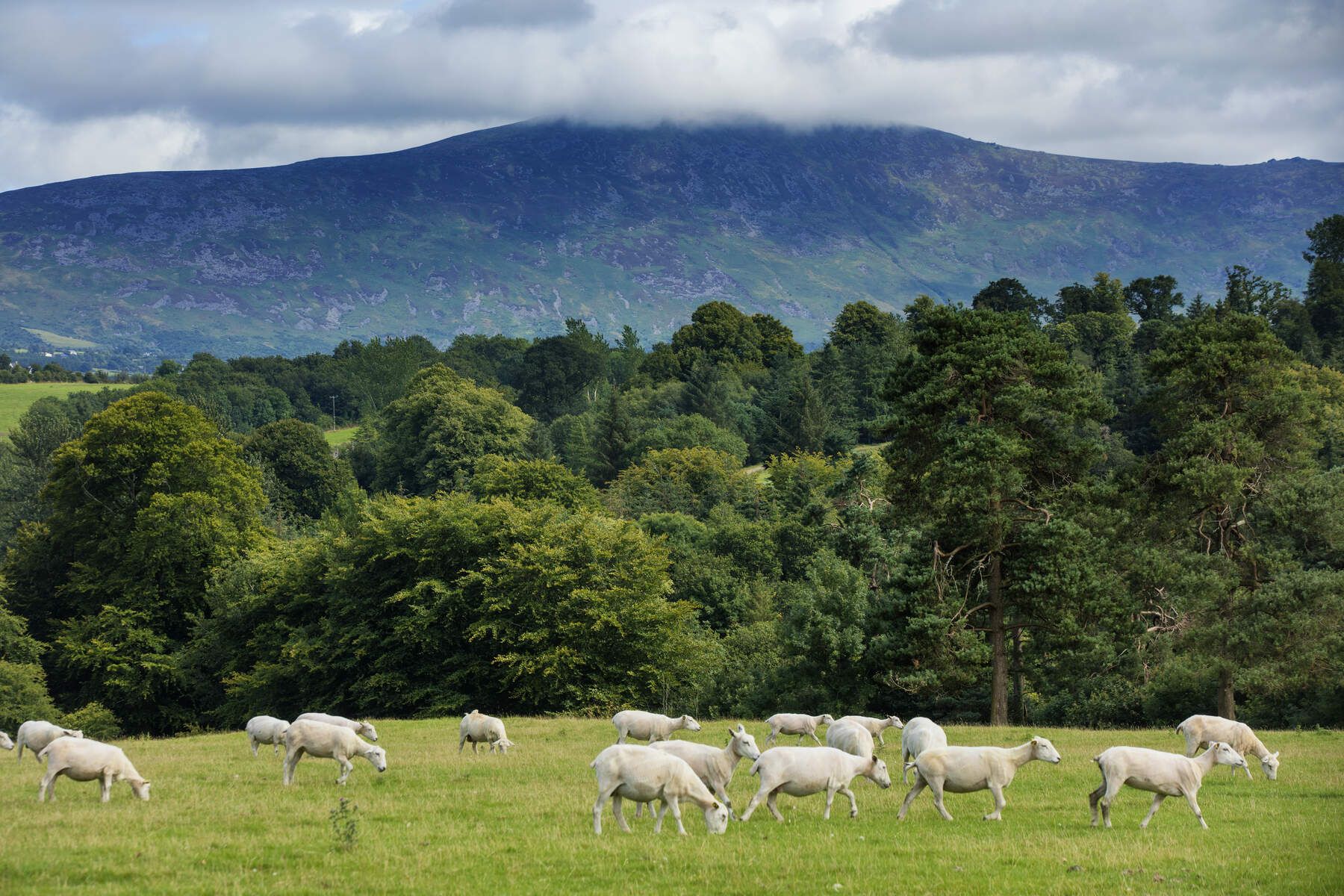 The Blackstairs Mountains. Ireland's Content Pool