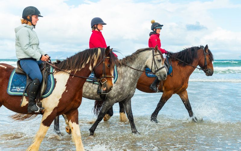 Horse Riding, Streedagh, Co Sligo