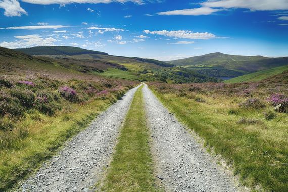 Wicklow National Park. Credit: Getty Images
