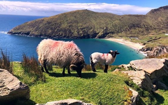 Achill Island in Mayo, My Irish Cousin 2019 photo competition entry from Allison Marrow