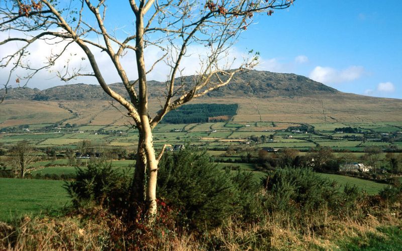 Rostrevor, Co Down. (Ireland's Content Pool) Rostrevor, Co Down. (Ireland's Content Pool)