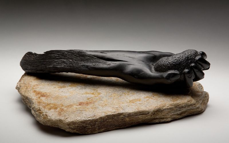 Black Potato by Kieran Tuohy. (Credit: Quinnipiac University) Black Potato by Kieran Tuohy. (Credit: Quinnipiac University)