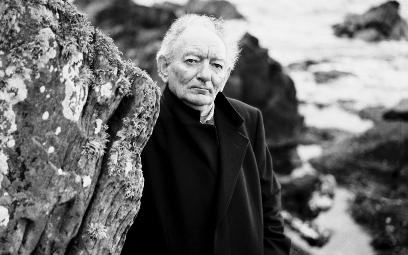 Brian Friel (c) Bobbie Hanvey