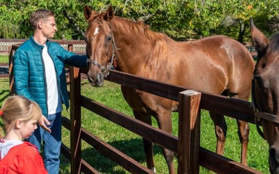  The Irish National Stud and Gardens, Co Kildare