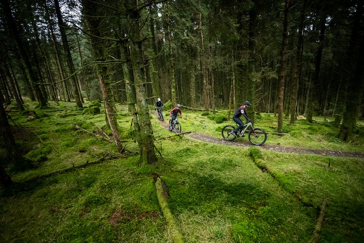 Davagh Fores Mountain Bike Trail in Co.Tyrone.
