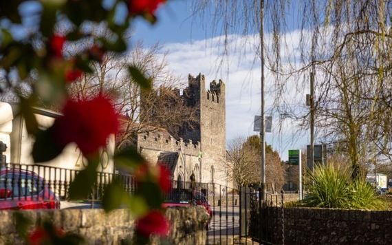 Falconry & Lunch at Adare Manor, County Limerick.