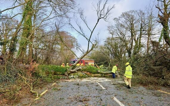 Storm Eowyn was the number one most searched term on Google in the Republic of Ireland for 2025. (RollingNews.ie)