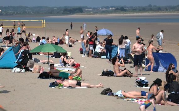 Soaring temperatures mean more insect bites and stings. (RollingNews.ie)