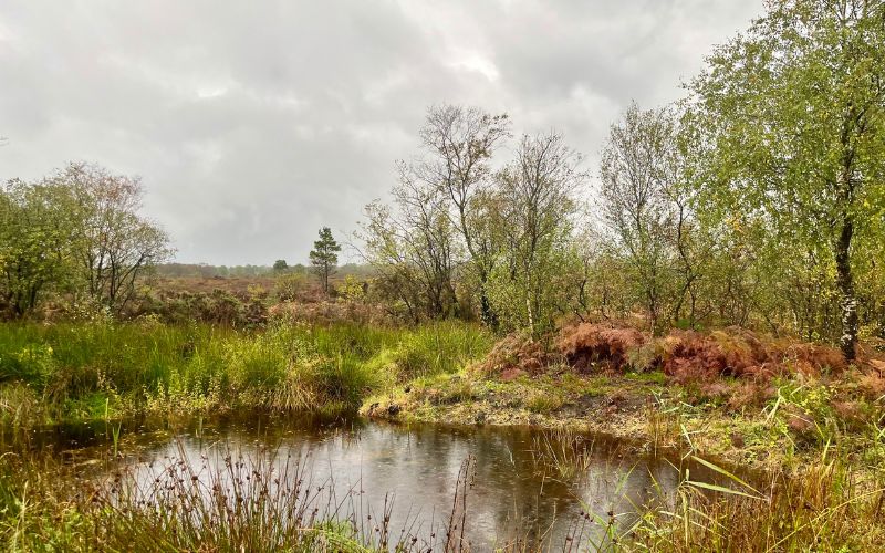 Irish Stew podcast cohosts, John Lee and Martin Nutty, head to Shinrone, in Offaly.