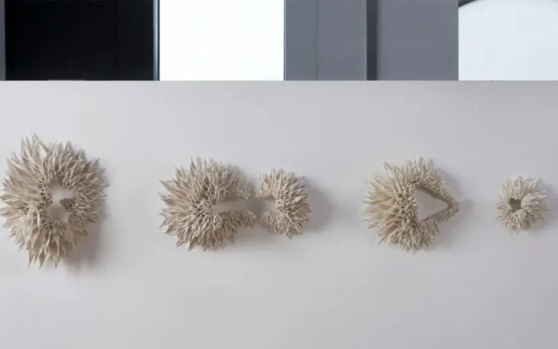 Pic: Nuala O'Donovan/Instagram Pic: Nuala O'Donovan/Instagram