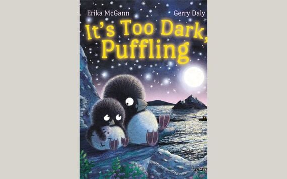 It’s Too Dark, Puffling By Erika McGann and Gerry Daly. Pic: The O’Brien Press It’s Too Dark, Puffling By Erika McGann and Gerry Daly. Pic: The O’Brien Press