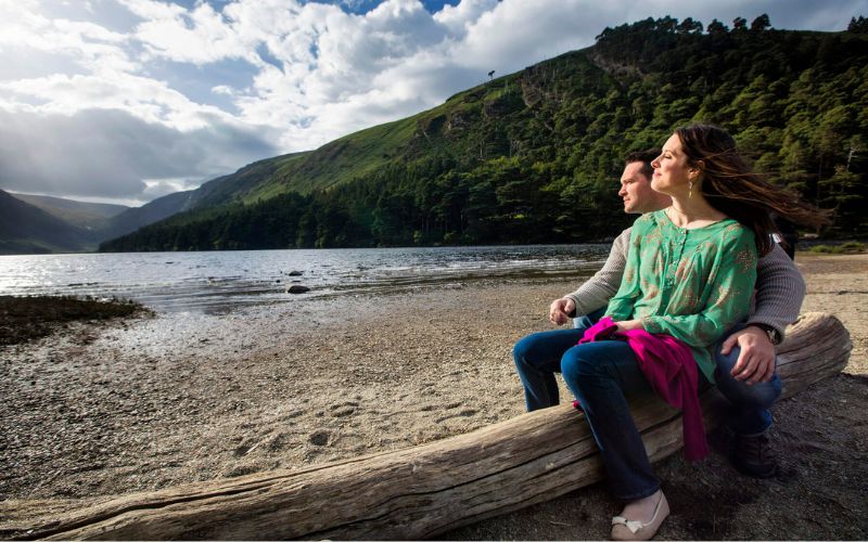 (Ireland's Content Pool) (Ireland's Content Pool)