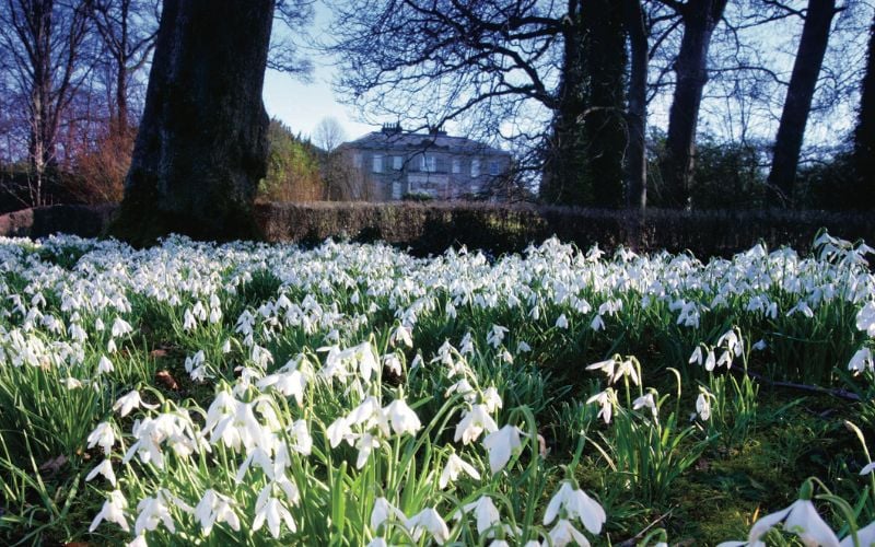 The Argory, County Armagh. The Argory, County Armagh.