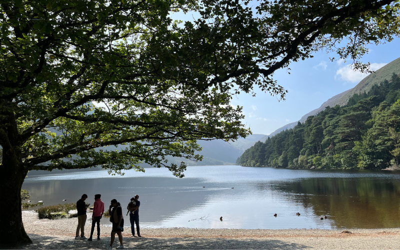 Wellness Tours of Ireland