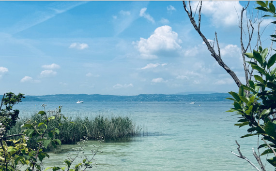 The blue of Lake Garda impressed James Joyce and his friend Ezra Pound. The blue of Lake Garda impressed James Joyce and his friend Ezra Pound.