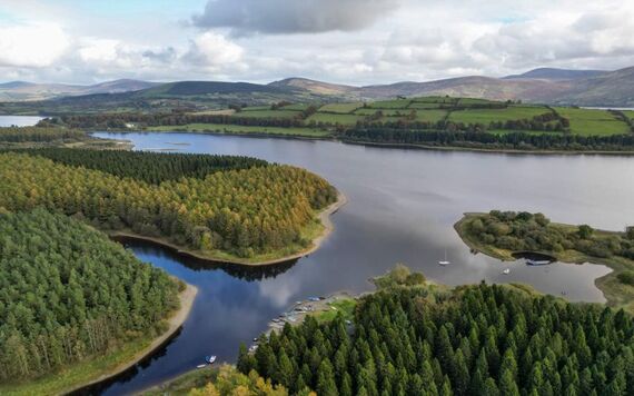 Blessington Lakes, County Wicklow.