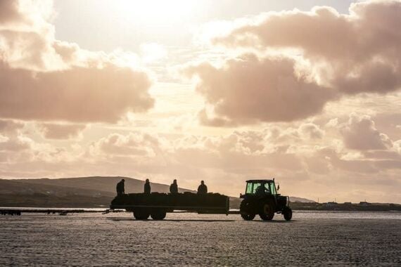 Fishermen collecting oysters in County Donegal. Fishermen collecting oysters in County Donegal.