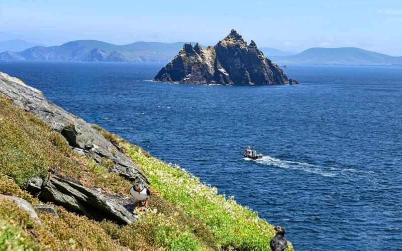 Puffin Birds on Little Skellig, with a view of Skellig Michael, Great Skellig Island, Co Kerry. (Ireland's Content Pool / Tourism Ireland)