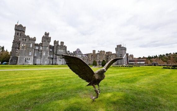 Have a go at falconry at Ashford Castle.