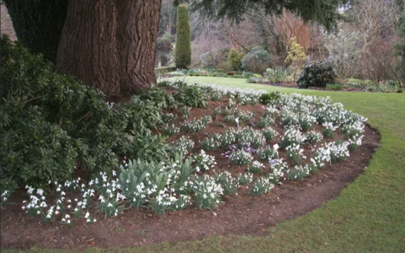 The Office of Public Works (OPW)