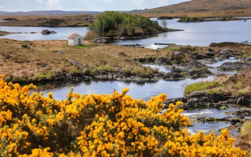 Connemara, County Galway.