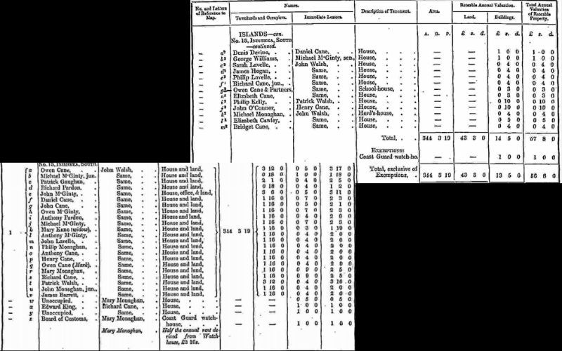 My family's records in the 1855 Griffiths Valuation.