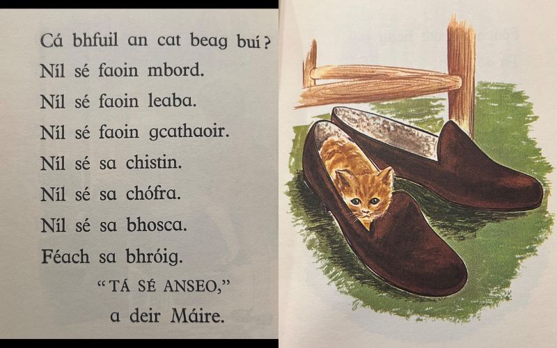 Images from Ní Ghráda’s "An Cat Beag Buí" or "The Little Yellow Cat." (AIHS)