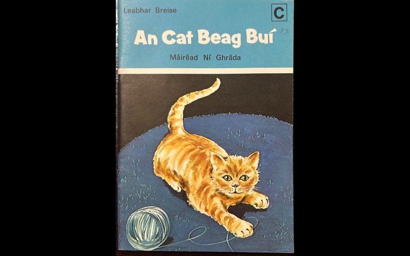 Images from Ní Ghráda’s "An Cat Beag Buí" or "The Little Yellow Cat." (AIHS)