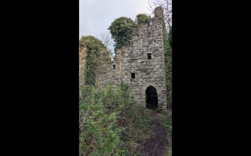 The rediscovered structure on forestry land within the former Narrow Water Estate.