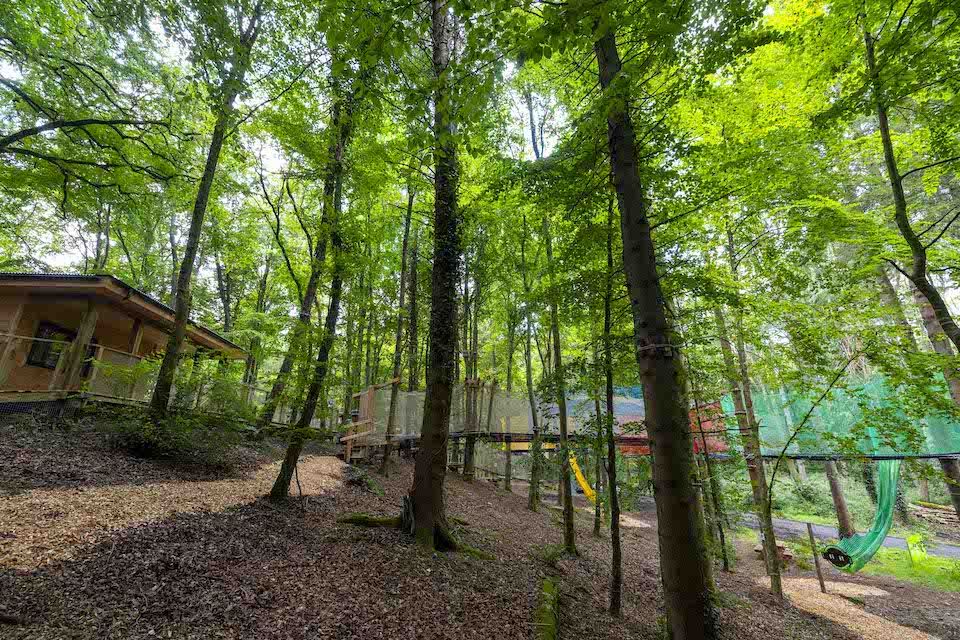 New €1.5 million Zipit Donadea Forest Adventure Park opens in Co. Kildare