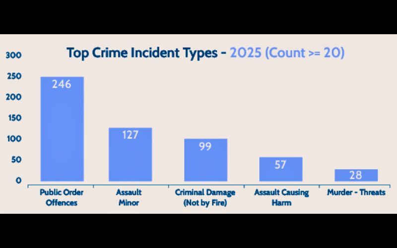 Top Crime Incident Types in 2025. (An Garda Siochana) Top Crime Incident Types in 2025. (An Garda Siochana)
